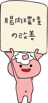腸内環境の改善