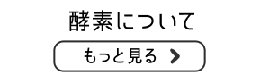酵素についてもっと見る