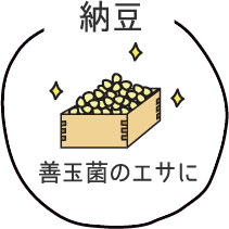 納豆　善玉菌のエサに