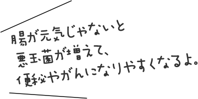 腸が元気じゃないと悪玉菌が増えて、便秘やがんになりやすくなるよ。
