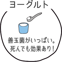 ヨーグルト　善玉菌がいっぱい。死んでも効果あり！