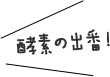 酵素の出番！