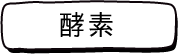酵素