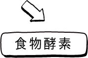 食物酵素
