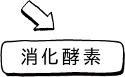 消化酵素