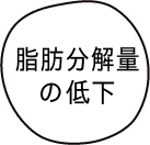脂肪分解量の低下