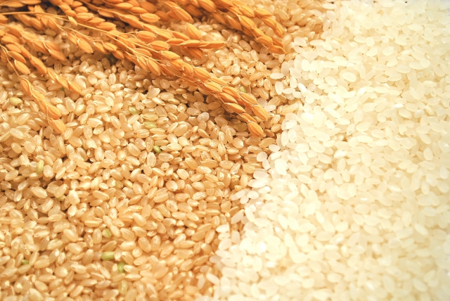 酵素玄米と精白米の違い