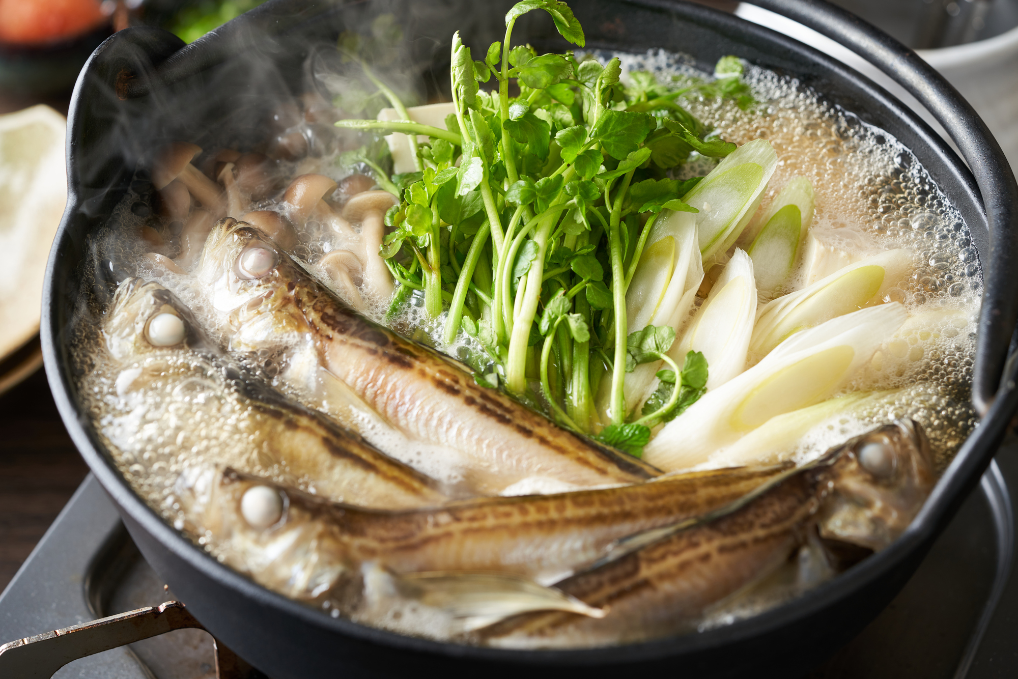 秋田の郷土料理しょっつる鍋の作り方｜お家で手軽に伝統の味を楽しめるレシピ